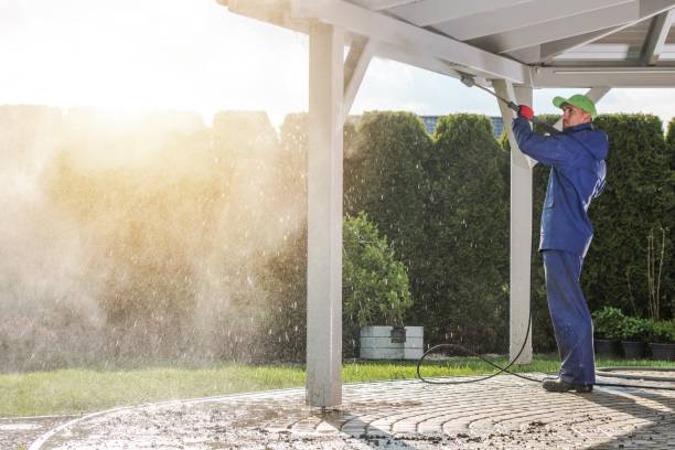 Best Roof Cleaning and Mildew Removal in Salem, WV